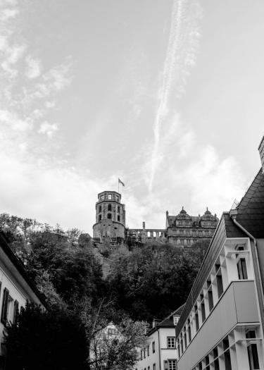 Blick aufs Schloss
